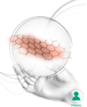 12. Narbensymposium