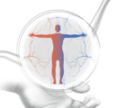 10. Phlebologisches Symposium